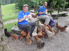 Benedetto alla Malga Canali tra le galline (41557 bytes)